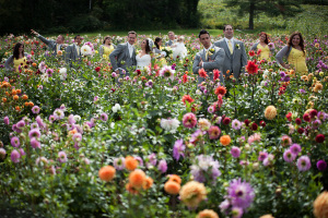 Wedding Photography, Wedding Photographer, Wedding Photos, Milton, Oakville, Hamilton, Butlington, Mississauga, Toronto, Ontario, Canada, Engagement